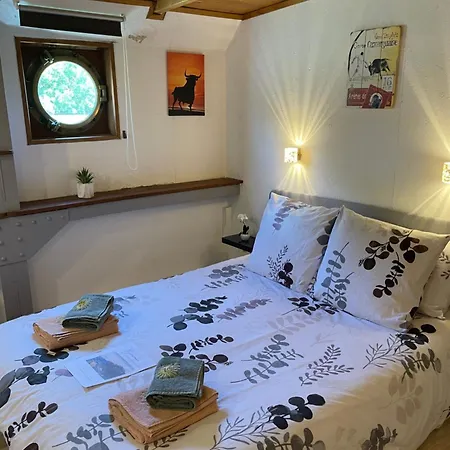 Péniche Le Pescalune - Chambre d'hôtes Arles Esterno foto