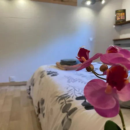 Péniche Le Pescalune - Chambre d'hôtes Arles Esterno foto