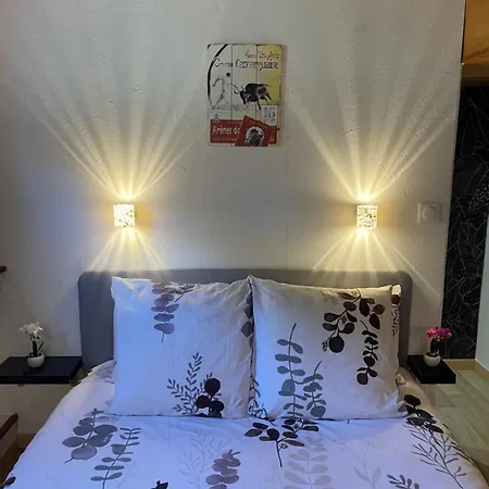 Péniche Le Pescalune - Chambre d'hôtes Arles Esterno foto